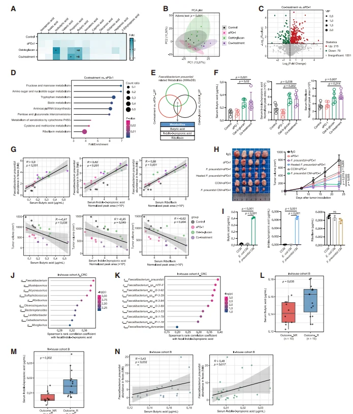 Figure 4. Butyrate and indole-3-propionic acid (IPA) produced by F. prausnitzii are key factors underlying the enhanced efficacy of oat β-glucan in immunotherapy.