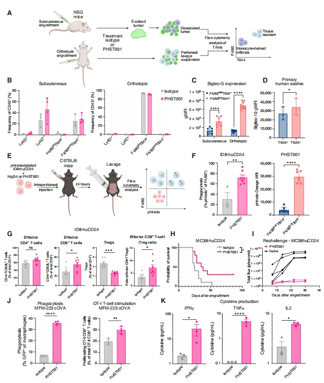 Figure 1. PHST001 activates tissue-resident macrophages and CD8⁺ T cells