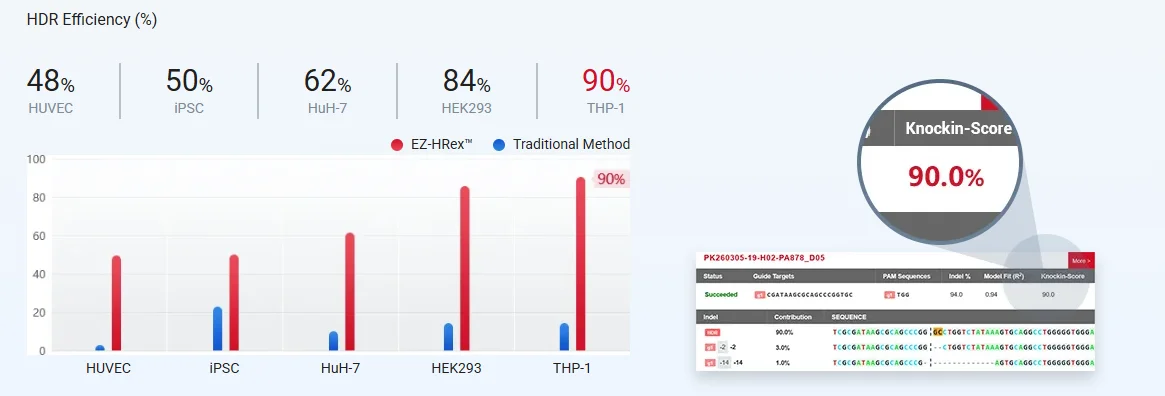 PYCARD point mutation THP-1 cell pool was generated using the EZ-HRex™ technique, with an HDR efficiency reaching 90%.