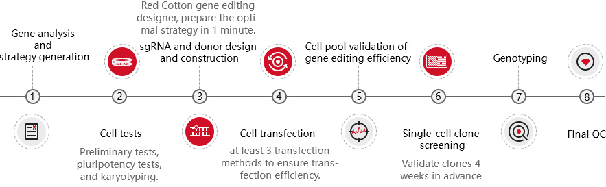 iPSC ESC stem cell gene editing process